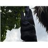 Image 4 : Tiki Statue w/ "HalfMan" Carved Approx. 16'H