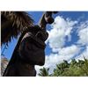 Image 6 : Tiki Statue Approx. 16'H