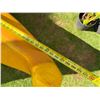 Image 18 : Paradise Cove Yellow & Red Canoe on Stand 22' 3" L