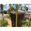 Image 8 : Tiki Statue on Metal Pole Stand 12" x 38" (Tiki), 68"H Total