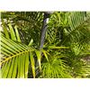 Image 10 : Qty 2 Metal Tiki Torches 60" & 84""H
