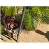 Image 8 : Qty 2 Metal Tiki Torches 60" & 84""H