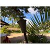 Image 6 : Qty 2 Metal Tiki Torches 60" & 80""H