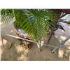 Image 9 : Qty 2 Metal Tiki Torches 60" & 80""H