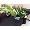 Image 3 : Qty 3 Small Artificial Flower Arrangements, Misc Sizes