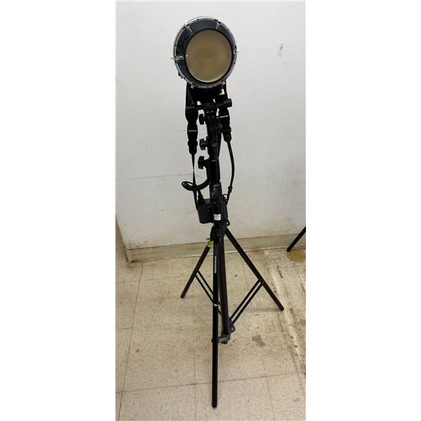 Interfit Strobies Pro-Flash 360 w/ Battery Pack on Manfrotto 1005BAC Light Stand