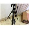 Image 5 : Interfit Strobies Domed Flash w/ Pro-Flash Battery Pack on Manfrotto 1005BAC Light Stand
