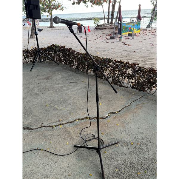 Shure SM58 Professional XLR Dynamic Vocal Microphone on Stand