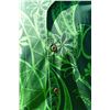 Image 7 : Qty 5 NEW Men's Green Aloha Shirts, Size 4XL w/ Paradise Cove Hot/Cold Bag