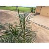 Image 2 : Potted Palm Plant Approx. 66"H