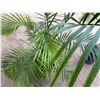 Image 3 : Potted Palm Plant Approx. 55"H