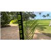 Image 6 : Potted Palm Plant Approx. 71"H