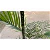 Image 5 : Potted Palm Plant Approx. 42"H
