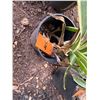 Image 3 : Potted Plant Approx. 16"H