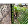 Image 4 : Potted Palm Plant Approx. 50"H