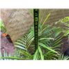 Image 6 : Potted Palm Plant Approx. 36"H
