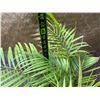 Image 4 : Potted Palm Plant Approx. 38"H