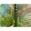 Image 5 : Potted Palm Plant Approx. 47"H