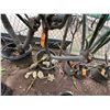 Image 2 : Potted Plumeria Plant Approx. 72"H