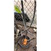 Image 1 : Potted Plumeria Plant Approx. 42"H
