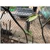 Image 3 : Potted Plumeria Plant Approx. 74"H