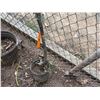 Image 4 : Potted Plumeria Plant Approx. 55"H