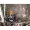 Image 4 : Potted Palm Plant Approx. 38"H