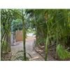 Image 3 : Potted Palm Plant Approx. 72"H