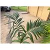 Image 2 : Potted Palm Plant Approx. 50"H