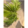 Image 2 : Potted Palm Plant Approx. 40"H