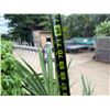 Image 6 : Potted Palm Plant Approx. 72"H