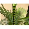 Image 5 : Potted Palm Plant Approx. 60"H