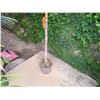 Image 4 : Potted Palm Plant Approx. 72"H