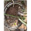 Image 4 : Potted Palm Plant Approx. 72"H