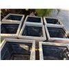 Image 9 : Qty 8 Square Planters