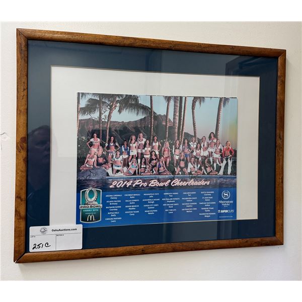 2014 Pro Bowl Cheerleaders Art Print, Wood Framed & Matted 18" x 23"