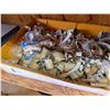 Image 29 : Contents of Shelf: Wire, Fluorescent Tubes, Stage Lamps, Fittings, Carpet, Lawson Storage Drawers, P