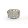 Image 1 : Daum Nancy Freres 'Edelweiss' Vase Bowl