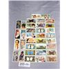 Image 1 : 35 Mixed Lot of Cards From Brooke Bond Tea
