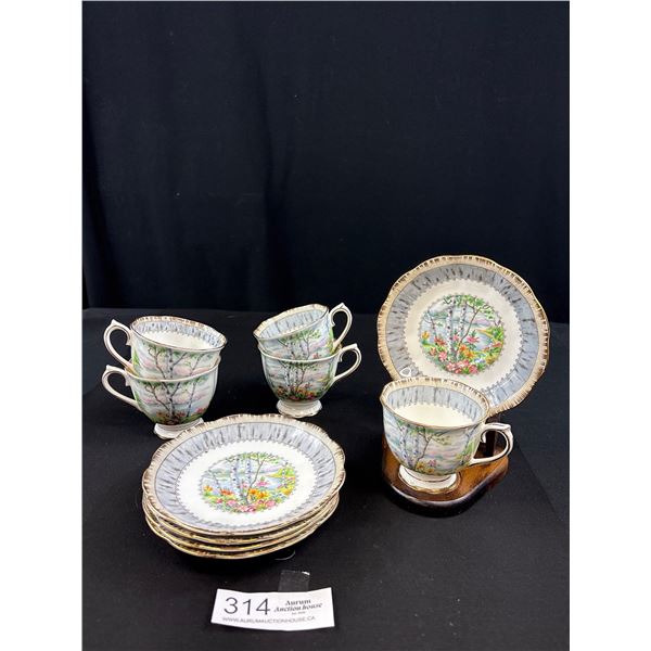 Lot of 5 Royal Albert Silver Birch Teacup and Saucers