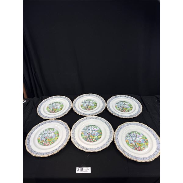 Lot of 6 10" Diameter Royal Albert "Silver Birch" Plates