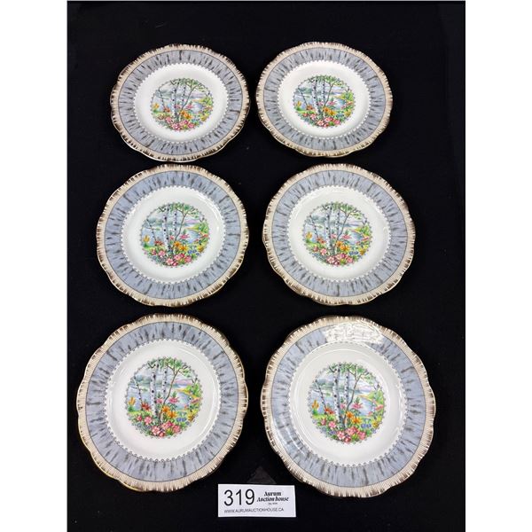Lot of 6 Nice Royal Albert Silver Birch Bread and Butter Plate