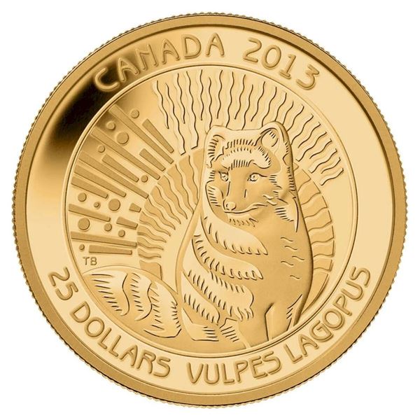 2013 $25 Arctic Fox - Pure Gold Coin.  Tax Exempt.