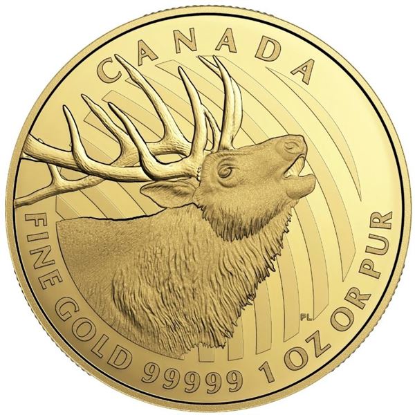 2017 $200 Elk - Pure Gold Coin.  Tax Exempt.
