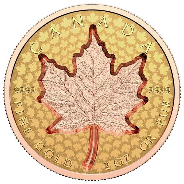 2022 $200 Super Incuse 2 oz GML - Pure Gold Coin. Interior plastic coin holder lightly damaged.  Tax