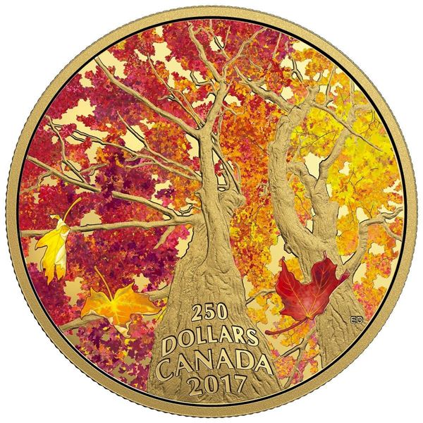2017 $250 Maple Canopy: Kaleidoscope of Colour - Pure Gold Coin.  Tax Exempt.