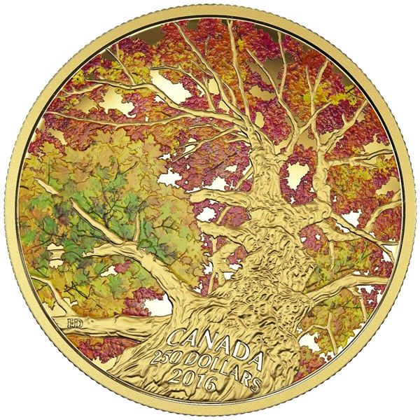 2016 $250 Maple Canopy: Kaleidoscope of Colour - Pure Gold Coin.  Interior plastic holder shows dama