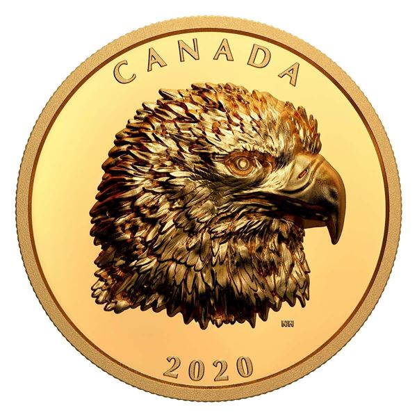 2020 $250 Proud Bald Eagle - Pure Gold Coin.  No Case.  Tax Exempt.