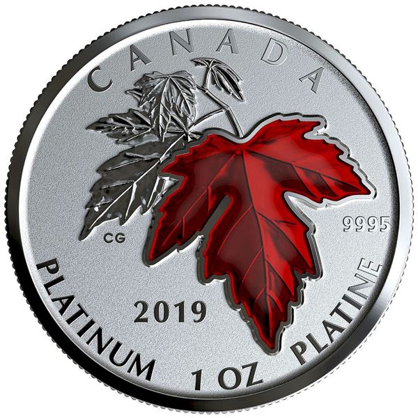 2019 $300 Maple Leaf Forever - Pure Platinum Coin.  Tax Exempt.