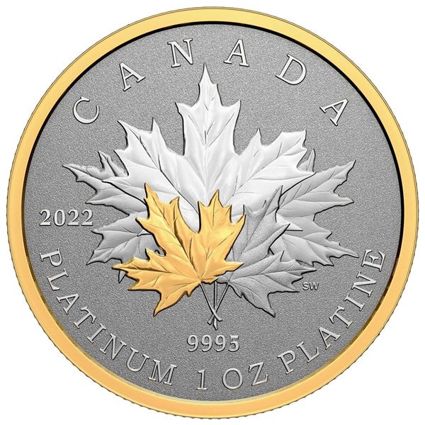 2022 $300 Maple Leaf Forever - Pure Platinum Coin.  No Box.  Tax Exempt.